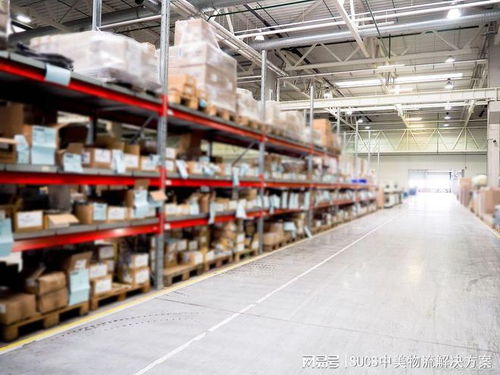 Temu仓储物流服务的可选之道 如何自主选择优化运营效率